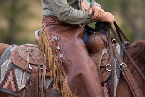 How to Choose the Right Western Saddle for Your Horse and Riding Goals