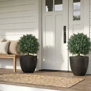 10 Boxwood Tree Topiary Ideas for Entryways, Porches & Interiors